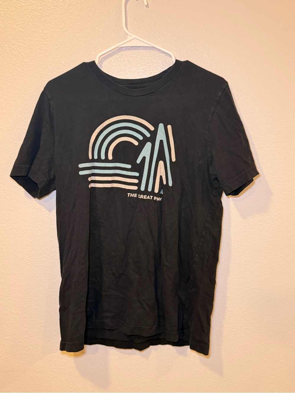 The Great PNW graphic tee